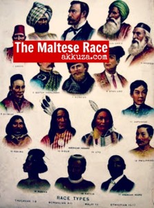 malteser race _akkuza
