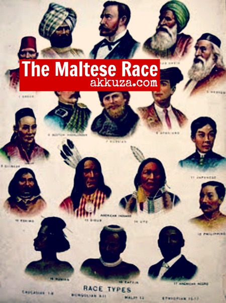 what race are maltese? 2
