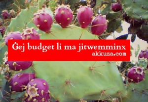 budget_akkuza