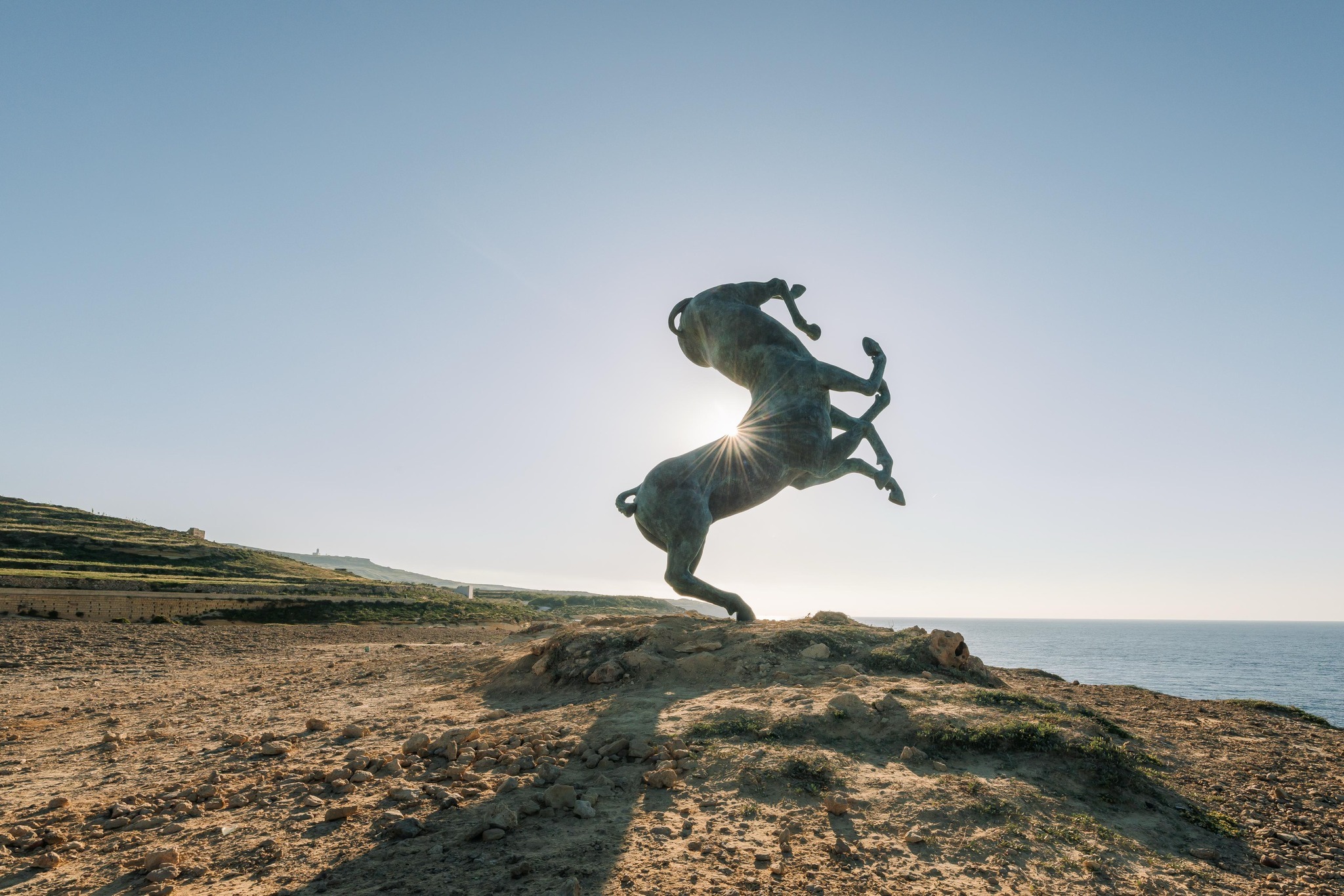 Wieħed — the horse has always known more than the rider